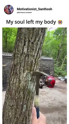 When The Tree Starts Running Away! 🤣🌳 | #shorts #funny #viral