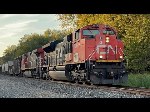 CN 8915 leads CSX L303 with an awesome K5LLA 10/5/2025