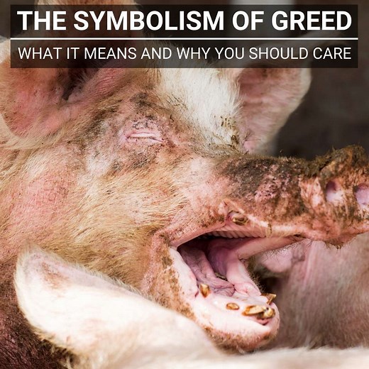 Symbols Of Greed: 10 Animals That Represent Greed & Selfish Desire
