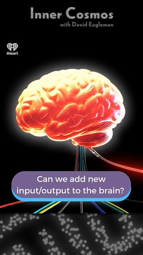 David Eagleman | Could we add another input/output channel to the brain? Join me to learn about new ways of interfacing with the brain in this week's Inner... | Instagram