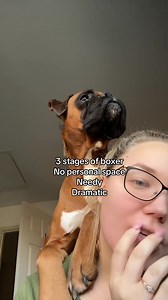All in the space of a minute 😂 | Trunks the Boxer