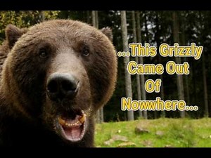 Scary Bear Attacks: The Painful Grizzly Bear Attack On Tony & Lauri Smaldino