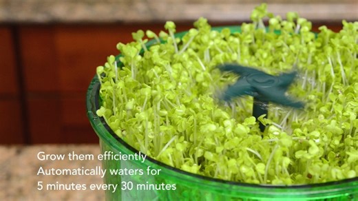 Watch Tribest FL-3000 Freshlife Automatic Seed Sprouter on Amazon Live