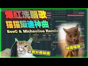 爆红洗脑歌(猫猫蹦迪神曲)BeeC & Michaellee Remix vol.58
