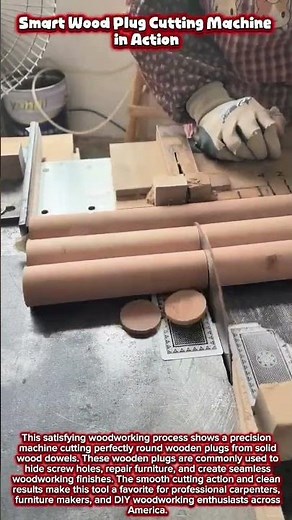 Smart Wood Plug Cutting Machine in Action #woodworking #wood #craftsmanship
