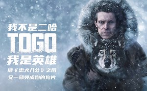 深度解读电影《多哥》，百年前的一场白喉疫情，造就一只传奇二哈