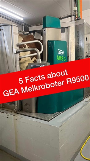 „Warum eigentlich der GEA Melkroboter?“ – wir reden Tacheles.🎤 Im Video nehme ich mir zusammen mit Malte die echten Alleinstellungsmerkmale unseres GEA Melkroboters R9500 vor – ohne viel Blabla, dafür mit Praxis. 🐄👇 Die 5 Facts, die ihn wirklich besonders machen: ✅ Viertel-Gemelks-Abtrennung Die Milch geht immer genau dahin, wo sie hingehört – Viertel für Viertel. Sauber, sicher, durchdacht. ✅ Unsere Grube Maximale Sicherheit & Zugänglichkeit: jederzeit optimal an Kuh und Euter – ergonomisch 