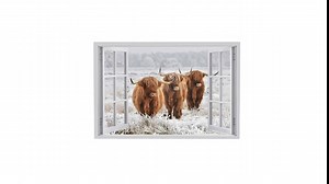 Highland Cow Canvas Wall Art - Highland Cattle Pictures Print Painting 24X36 inch Artwork Window for Home Décor