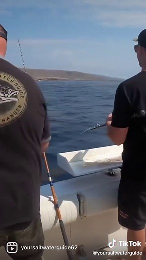 Your Saltwater Guide on TikTok