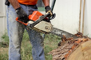 STIHL MS 271 Problems and How to Fix Them