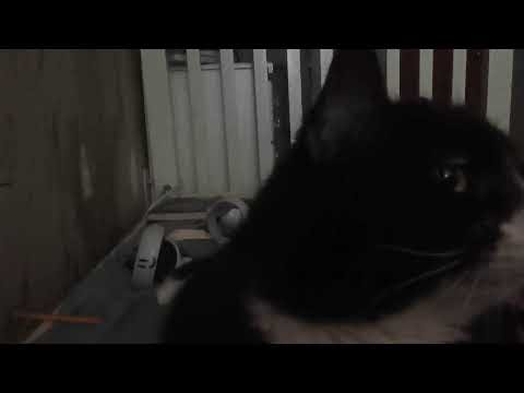 playing job simulator the 2050 archives