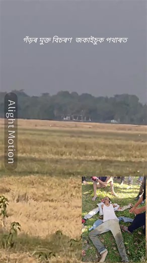 DHURBA JYOTI SAIKIA on Instagram: "জকাইচুক পথাৰ শিৱসাগৰ"