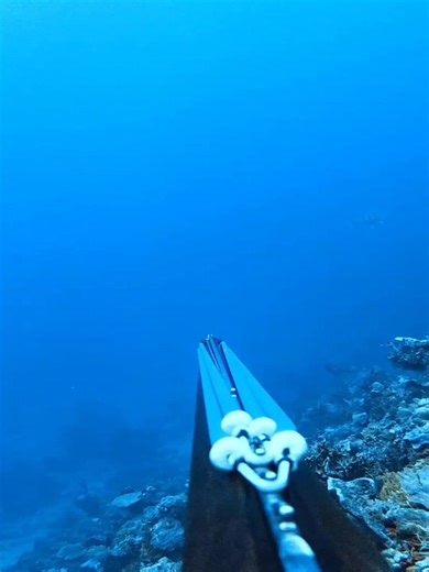 Easy way to call fish using stainless trigger guard to save more energy #fypシ゚ | Seamamana Grey Crist Nuñez