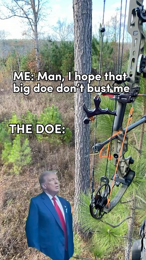 She pegs me every time! 😂 #deerhunting #bowhunting #georgiahunting #georgiadeerhunting | Georgia Afield