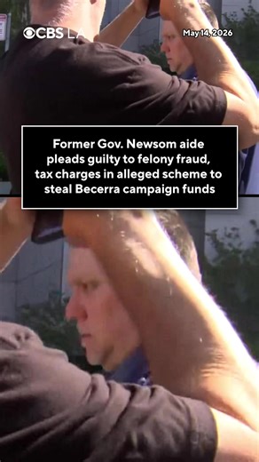 A former chief of staff to Gov. Gavin Newsom has pleaded guilty in an alleged scheme to steal campaign money from former federal Health Secretary Xavier Becerra. Political consultant Dana Williamson pleaded guilty Thursday to three of the 23 felony counts she was facing, according to a plea deal released in federal court. The charges include conspiracy to commit bank and wire fraud, subscribing to a false tax return and making false statements to a federal agent.