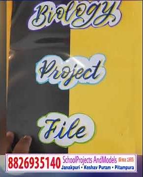 Cancer / Biology Investigatory Project / A4 Size / Session 2023-24 /Class12 /Accurate & Perfect Data