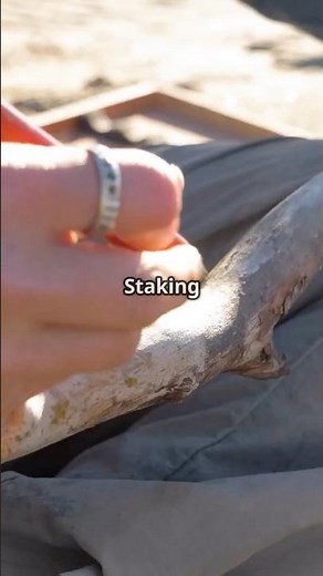 How to Stake a Gold Claim 101 (Module 4) Gold Claim Paperwork and Fees #howtostakeagoldclaim #gold