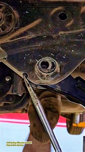 Coil Spring Fitment on Rear Suspension System