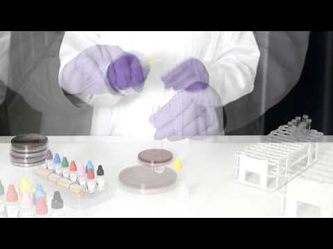 Thermo Scientific PathoDxtra Strep Grouping Kit