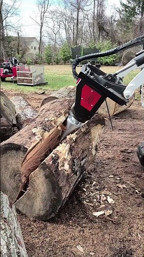 big log splitting with a mini skid steer #firewoodsplitter #miniskidsteer #logsplitter