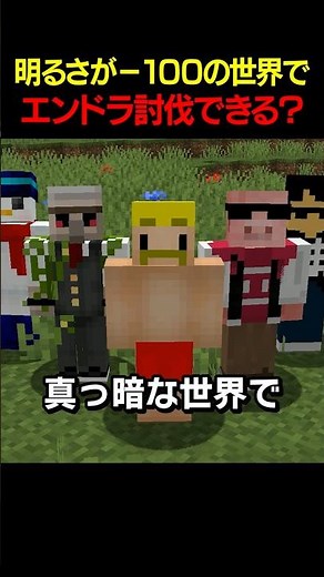 Can You Beat the Ender Dragon in a Pitch-Black World?【Dozle Corp.】#shorts