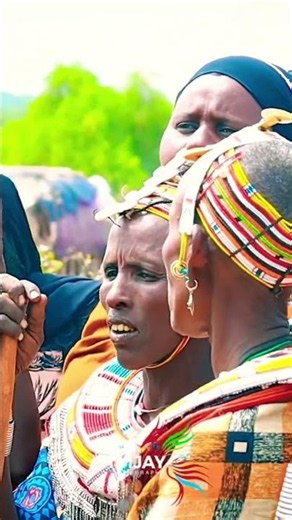 beautiful rendille songs sang during wedding ceremony 🎑🥰 , it's purposly to praise the groom.