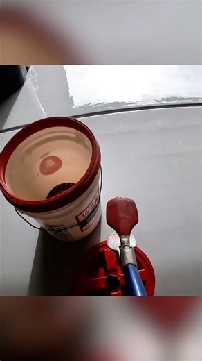 What does snake poop look like?
