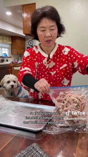 Freeze Rotisserie Chicken for Easy Meal Prep | Korean Mom’s Tip