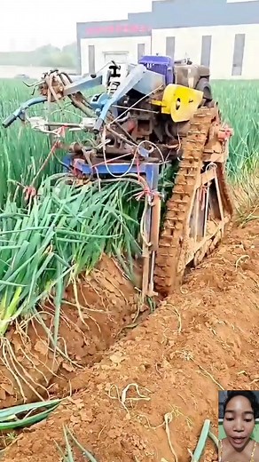 Advanced leek harvester #reactionreels #reactionvideo #agriculturalmachinery #AgricultureInnovation | Riezel Lopez