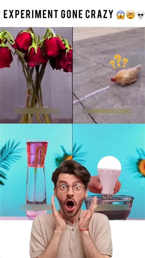 This isn’t magic… it’s science 😳 Watch till the end 👀 Which one shocked you most? 👇 #S#ScienceExperimentsM#MindBlowingR#RealScienceP#PhysicsChemistry