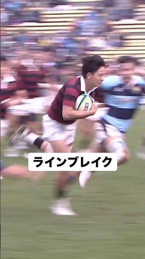 早稲田大学 服部亮太選手のトライシーン #大学ラグビー