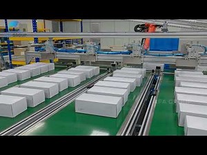 End of Line Packaging Automation For Examination Gloves