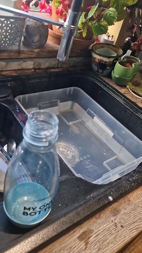 So the hedgehog that came in with the flea burden got her bagh, we have currently the video down as you can see early on just how much blood came from her, she had 2 baths and the water was horrific both times ,she is very anaemic, but last night I hand fed her as she was quite shut down and has been since arrival, and last night she did eat something on her own so I hope she is starting to feel slightly better. | Baddeley green hedgehog rescue centre