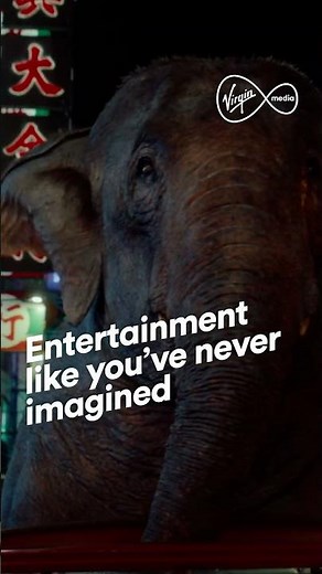 A truckload of entertainment 🎬🐘❤️ #elephant #ThisIsTV