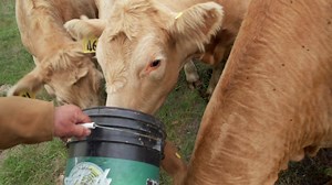 33K views · 147 reactions | When there’s a will, there’s a way. At Princess Auto, we’ll help you get started. #makeitwork | Princess Auto | Facebook