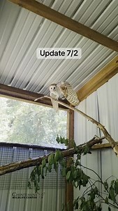 205K views · 141 reactions | After a few long weeks of healing...