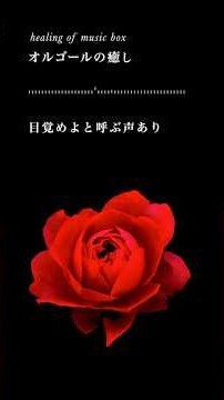【癒しオルゴール】バッハ「目覚めよと呼ぶ声あり」ヒーリング・睡眠音楽【Relaxing Music Box】「Wachet auf, ruft uns die Stimme」BWV 645