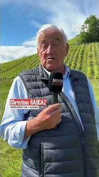 🌨️ How farmers protect themselves from hail