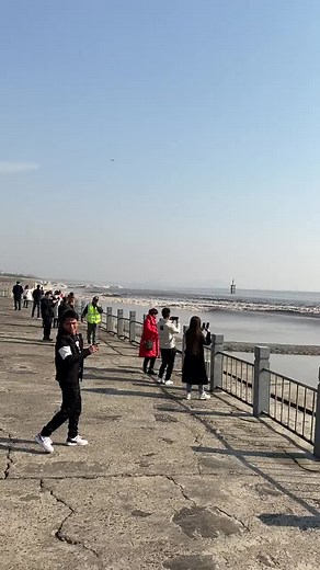 潮大爷现场指挥游客避免危险
