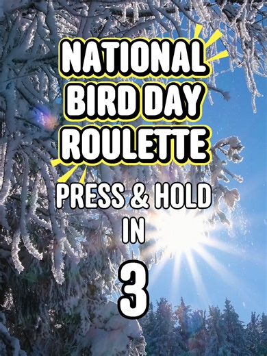 Celebrate National Bird Day with Fun Bird Facts