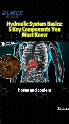 Hydraulic System Basics: 5 Key Components You Must Know