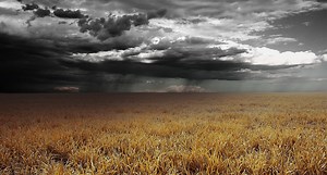 Don't Let Rain Ruin Your Day. Get Rainproof Outdoor Gear Like This