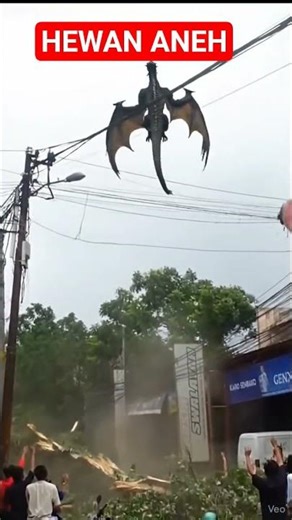 Hewan aneh |hewan unik #animals #hewanbesar