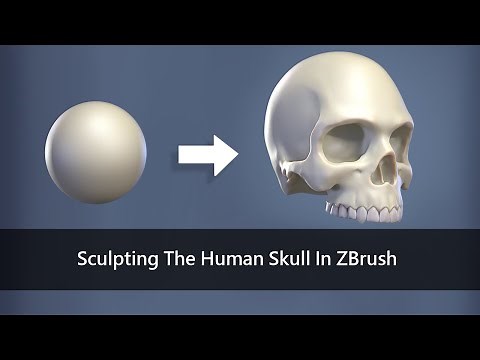 Sculpting the Human Skull in ZBrush
