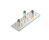 Next-Gen Transcriptomics Using RNA-Seq