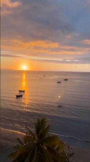 Imagine Looking Out Your Window and Seeing This 😍