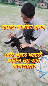 1.2M views · 169K reactions | সালে আহমেদ তাকরিম! ♥️ চেষ্টা করতে করতেই একদিন হয়ে যাবে ইনশাআল্লাহ! _____________ #Saleahmedtakreem #alquran #Quran #quranrecitation #kids #kidsactivities | Magic English | Facebook