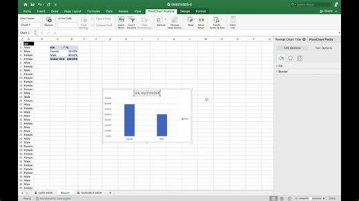 SPSS and Excel Demo Videos
