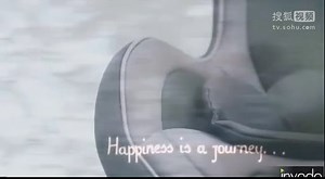 2013新款 Chicco NextFit 汽车安全座椅