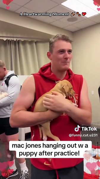 Heartwarming NFL Moments with Dogs and Pets
